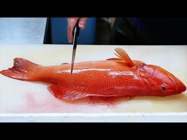 Japanese Food - RED GROUPER Steamed Fish Sashimi Okinawa Seafood Japan
