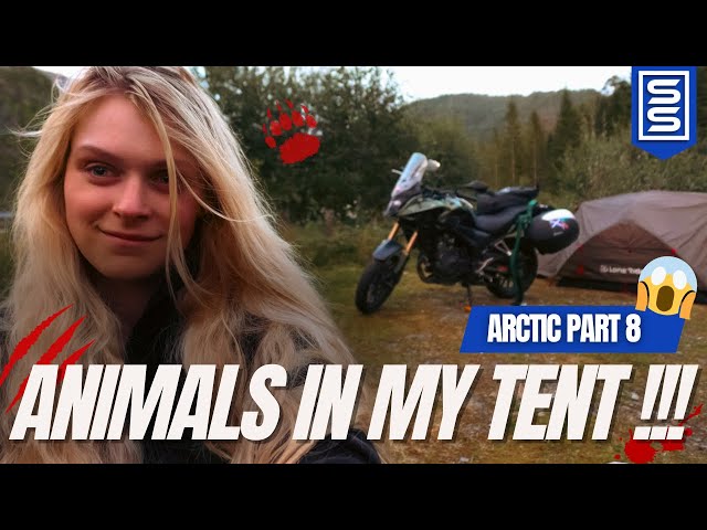 Wild Animals Robbed Me While I Was Motorcycle Camping 😭