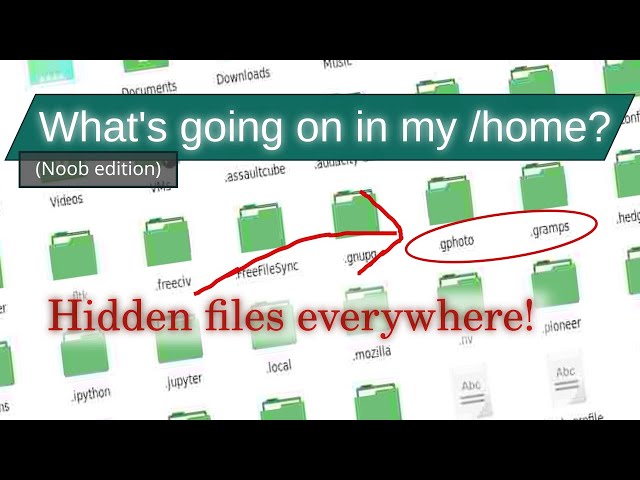 What are all those hidden files in my home directory?