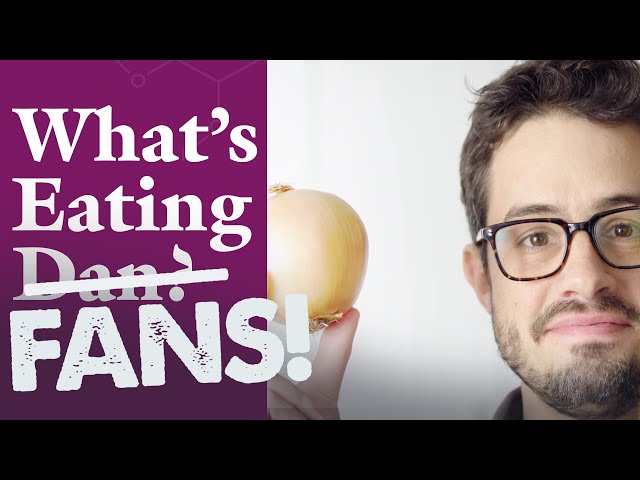 What's Eating FANS: Dan Responds to Your Onion Questions