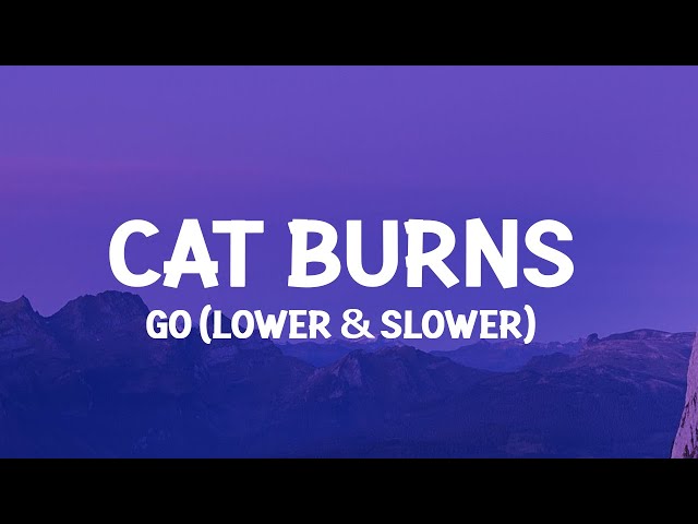 Cat Burns - Go (TikTok Lower & Slower)(Lyrics) don't call this number anymore