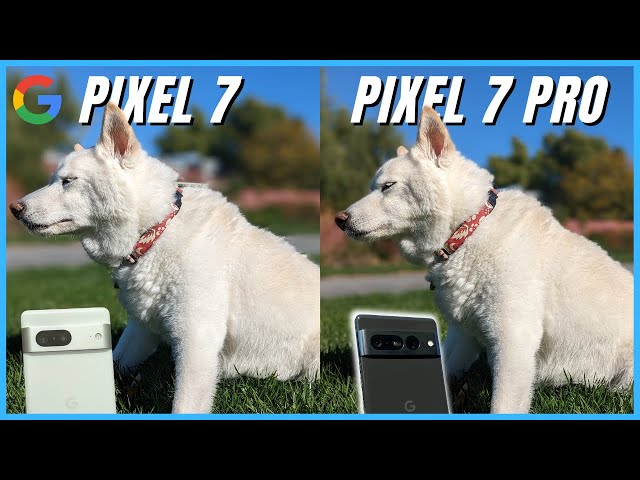 Google Pixel 7 vs Pixel 7 Pro Camera Comparison: What's the difference?