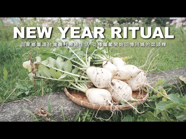 #1 Making Turnip Cake｜Traditional Taiwanese New Year Cuisine｜Growing Turnips(Daikon) in the Country