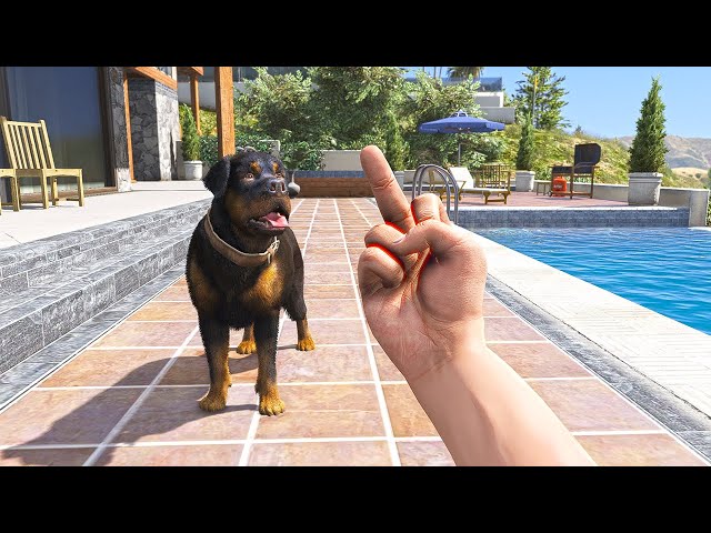 What Happens If You Show Middle Finger 🖕🏻 To Chop In GTA 5?