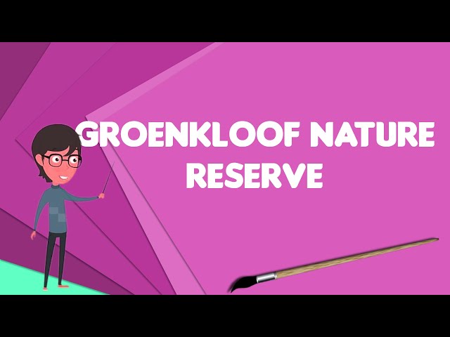 What is Groenkloof Nature Reserve?, Explain Groenkloof Nature Reserve