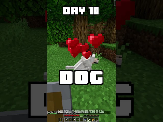 100 Days - [Minecraft Shorts] - Day 10 #minecraft #100days