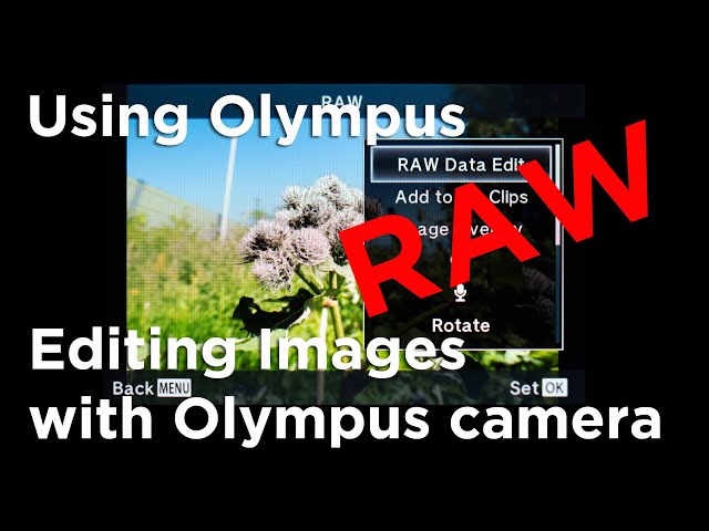 Using Olympus Tutorial: Editing raw-files with Olympus camera