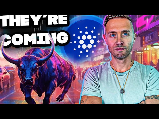 CARDANO: A STAMPEDE IS COMING