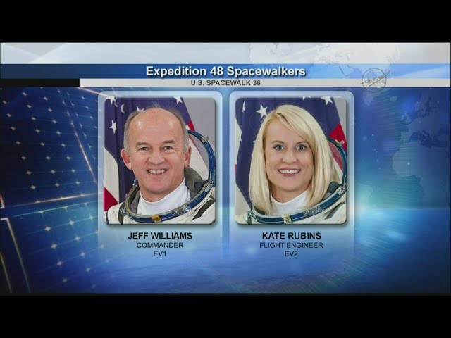 IDA-2 Installation: International Space Station U.S. EVA 36 (time lapse)