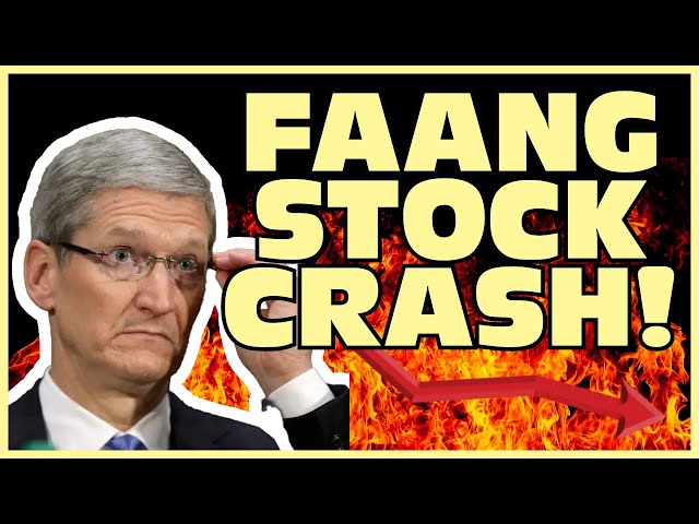 FAANG STOCKS CRASH!!!! ...