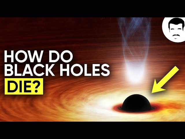 Cosmic Queries – Wormhole Universe, Black Holes, & Simulations with Neil deGrasse Tyson