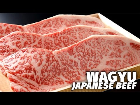 Japan's Most Expensive Beef | Wagyu