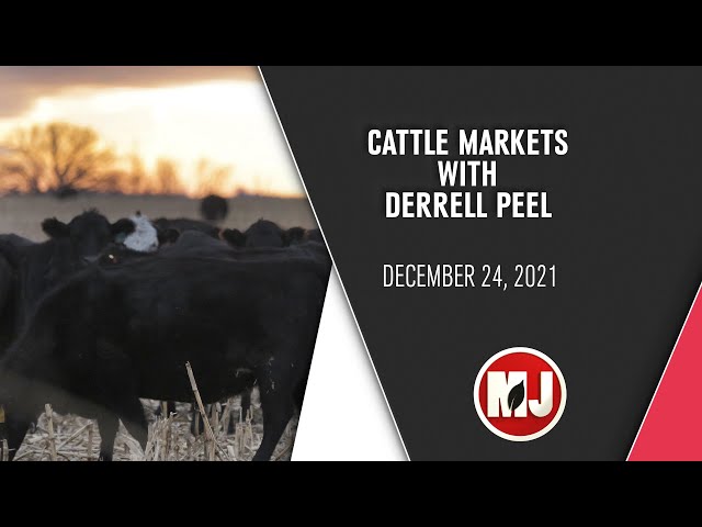Cattle Markets | December 24, 2021