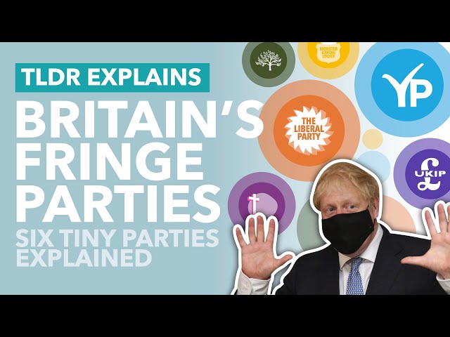 Britain's Weird, Small Political Parties Explained - TLDR News