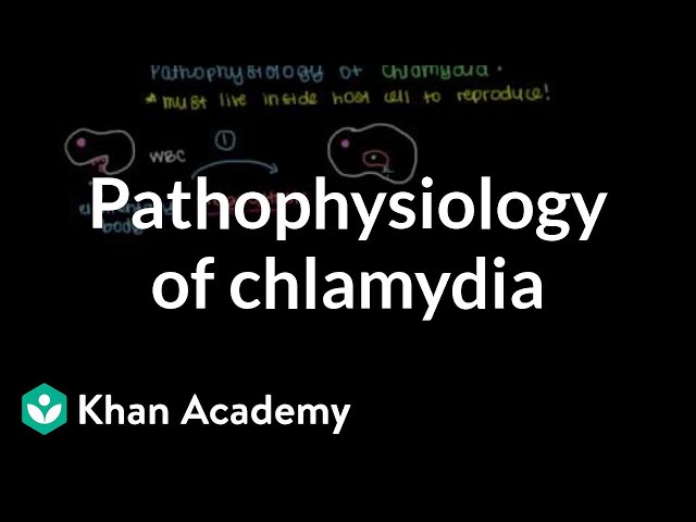 Pathophysiology of chlamydia | Infectious diseases | NCLEX-RN | Khan Academy