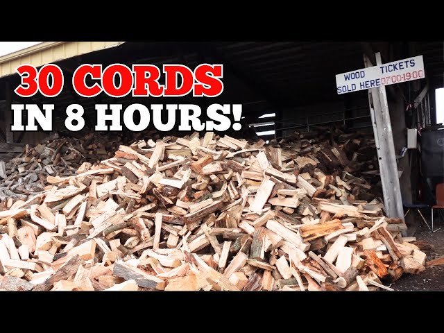 Cutting & Splitting Over 30 Cord of Firewood In 1 DAY!! Hoosier Firewood Hysteria 2024