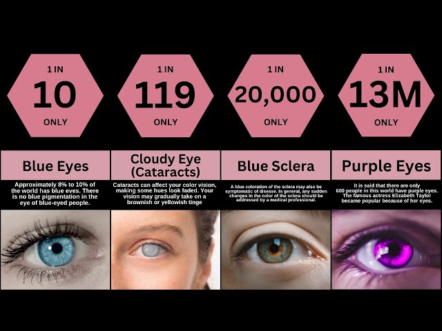 Human Eyes Colour | Comparision Tv