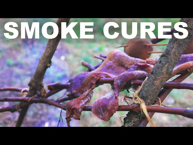 How smoke preserves food