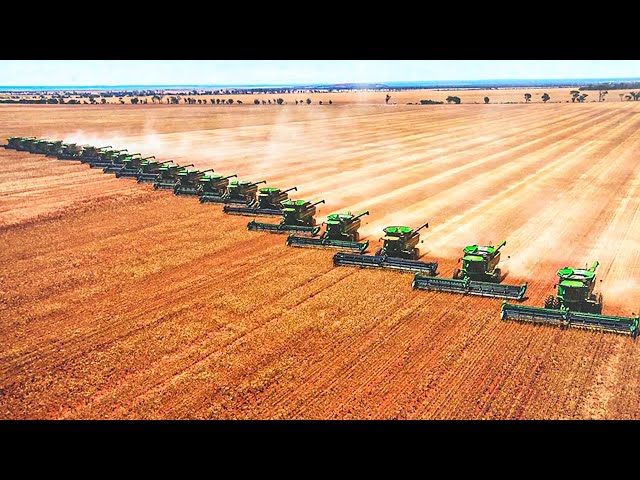 Largest Farms in The World That Will Shock You