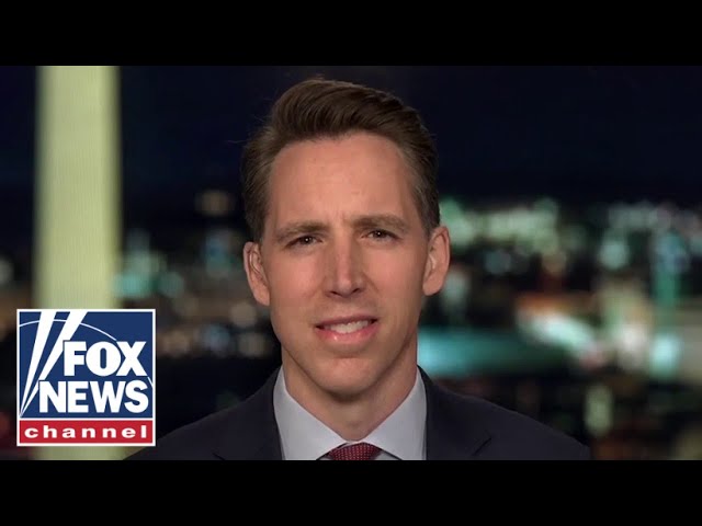 Democrats want a ‘one-party state’: Hawley
