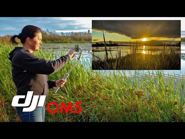 Cinematic B-roll with DJI OM5 tutorial for beginners | Learn smartphone filmmaking online
