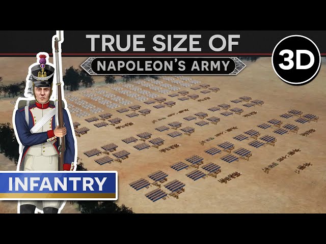 True Size of Napoleon's Army  - The Infantry [c. 1808] 3D DOCUMENTARY