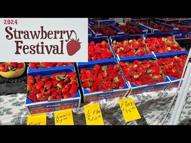 The Villages Annual Strawberry Festival at Brownwood Square | Activities in The Villages, Florida