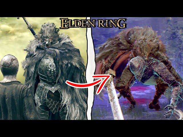 Elden Ring - What Happens if You Help Blaidd the Half Wolf Hunt Darriwil? (Elden Ring Secrets)