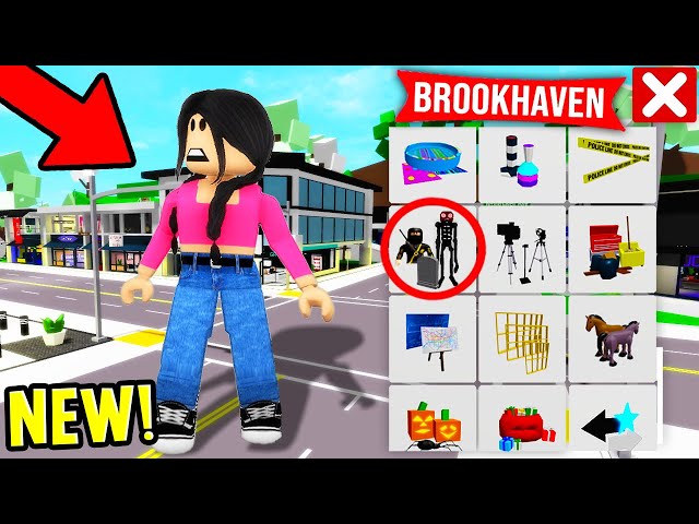 SECRETS of the NEW BROOKHAVEN RP UPDATE!