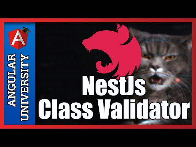 💥 NestJs Decorator based Validation using Class Validator