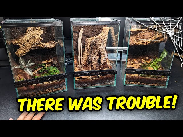 Rehouse ALMOST Ended FATALLY!