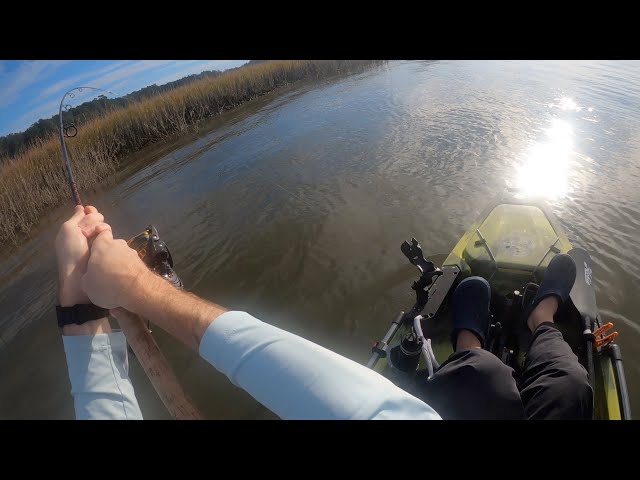 Speckled Sea Trout and Redfish | South Carolina Kayak Fishing