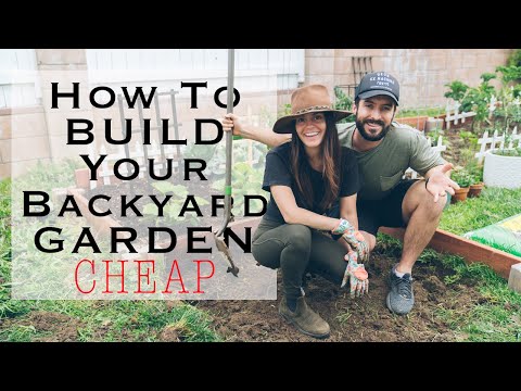 How To Grow Your Own Food