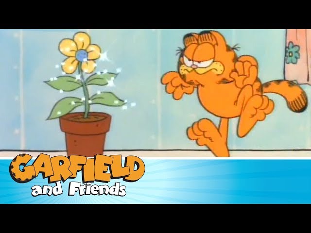 Daisy Waisy - Garfield & Friends 🌼