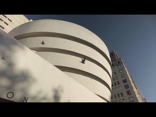 We Invite You to Wonder at the Guggenheim