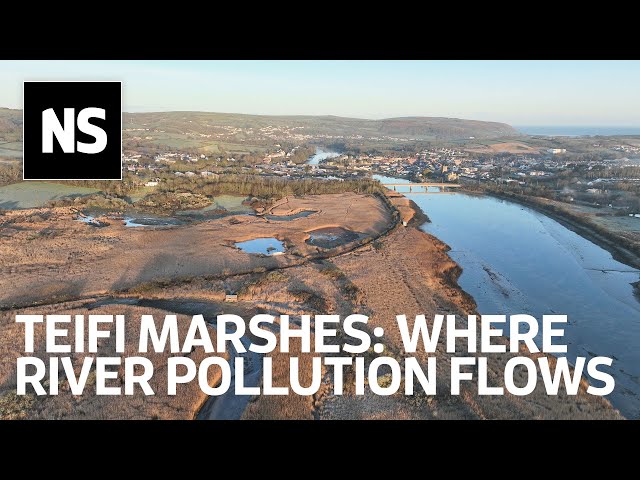 Teifi Marshes: The Welsh wetlands at risk from accumulated river pollutants