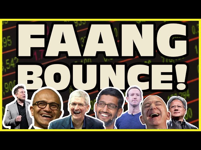 FAANG Stocks Bounce!