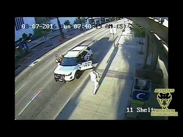Assault on Officer Caught on Camera
