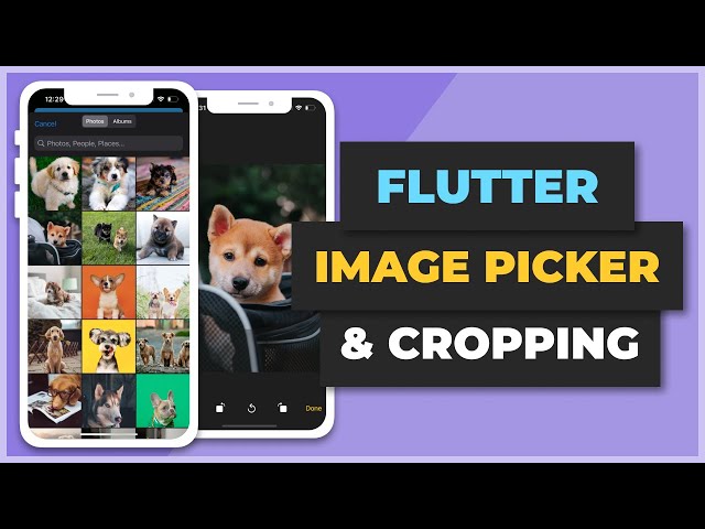 Flutter Image Picker & Cropper From Camera & Gallery | Learn Flutter Fast