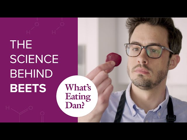 If You Can't Beet 'Em, Join 'Em: The Science Behind Beets | What's Eating Dan?