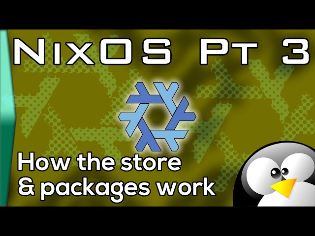 NixOS - How the store and packages work