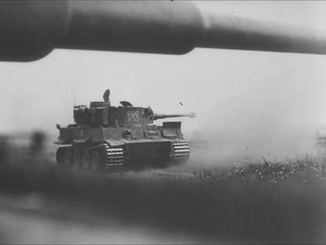 Tiger tanks in action at Kursk during the Summer of 1943