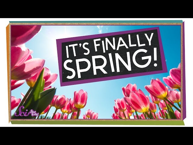 The Science of Spring! | SciShow Kids Compilation