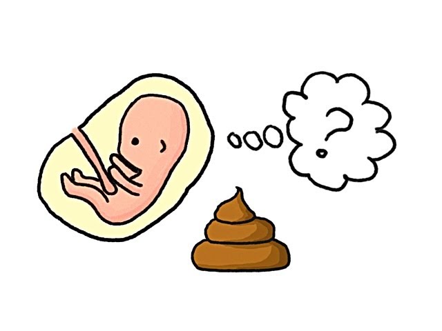 Do Fetuses Poop?