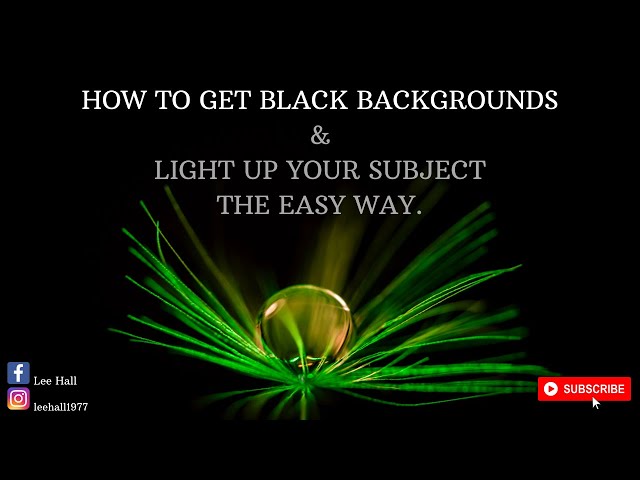 How to get black backgrounds & light up your subject the easy way