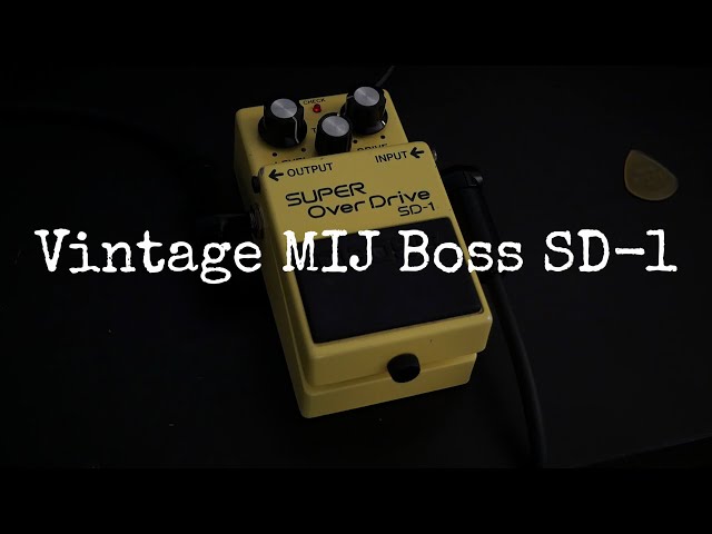 Vintage Boss SD-1 / Gear Demo