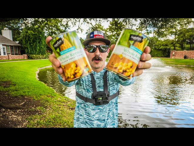 I WENT FISHING FOR 1 HOUR ONLY USING CORN (BIG SURPRISE) - HOW TO CATCH FISH USING CORN.