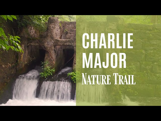 Charlie Major Nature Trail