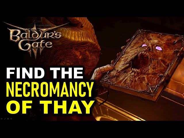 Investigate Cellar: Mirror Questions Answers & Find The Necromancy of Thay | Baldur's Gate 3 (BG3)
