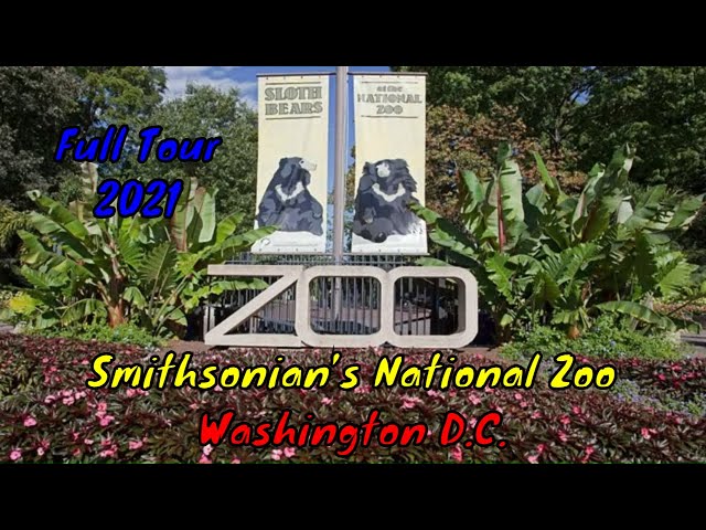 Smithsonian’s National Zoo Full Tour - Washington D.C.